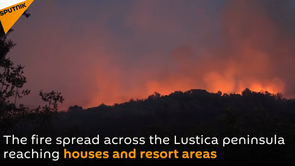 Wildfires Spreading Across Montenegro's Lustica Peninsula - Sputnik International