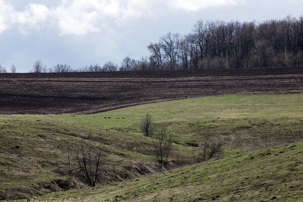 Black soil of Ukraine Black soil of Ukraine - Sputnik International