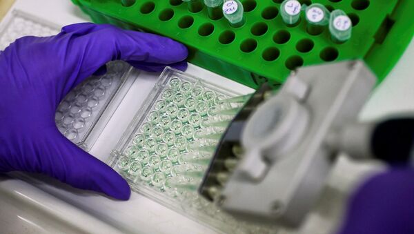 A scientist prepares protein samples for analysis (File) - Sputnik International