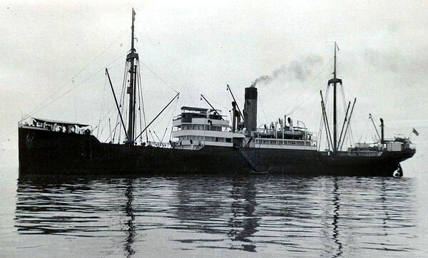Freight steamship 'Porta II' of the Minden-class, sister ship to SS Minden Freight steamship 'Porta II' of the Minden-class, sister ship to SS Minden - Sputnik International