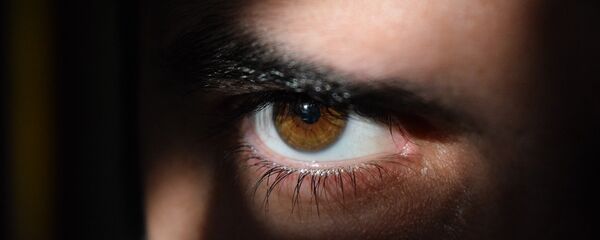 Surveillance Surveillance - Sputnik International