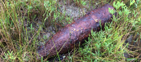 Second Unexploded World War II Bomb Found Along North Carolina Coast Found July 18 Second Unexploded World War II Bomb Found Along North Carolina Coast Found July 18 - Sputnik International