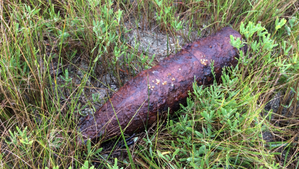 Second Unexploded World War II Bomb Found Along North Carolina Coast Found July 18 - Sputnik International
