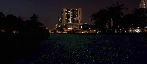 Singapore Tests Out New Glow-in-the-Dark Technology For Night Owls Singapore Tests Out New Glow-in-the-Dark Technology For Night Owls - Sputnik International