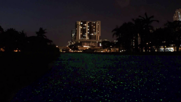 Singapore Tests Out New Glow-in-the-Dark Technology For Night Owls - Sputnik International