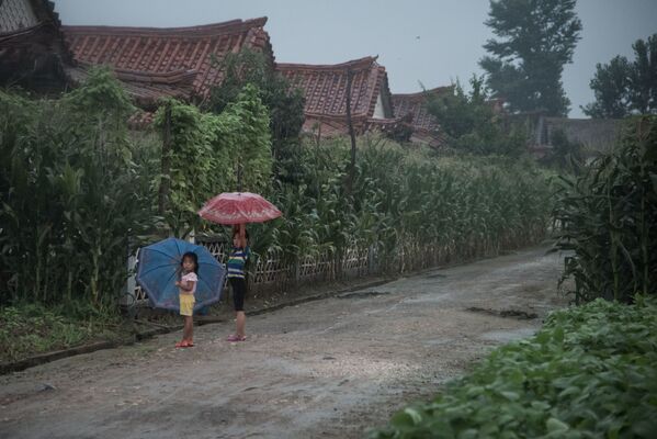 Дети укрываются от дождя под зонтами на юге Пхеньяна - Sputnik International
