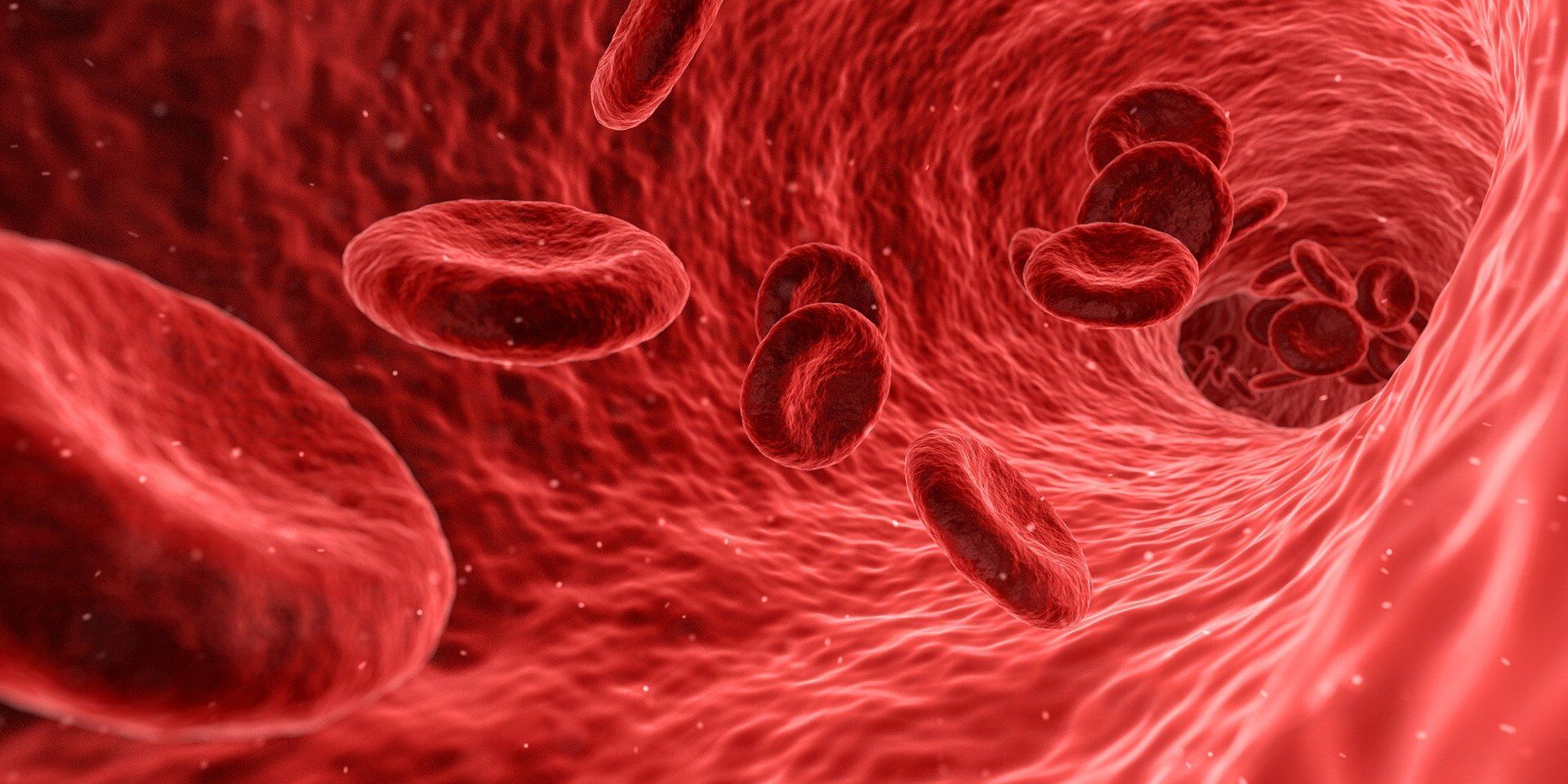Red blood cells - Sputnik International, 1920, 31.01.2022
