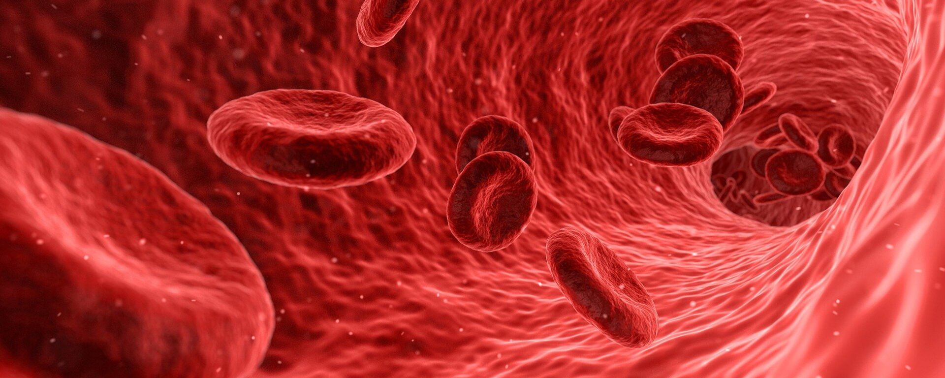Red blood cells - Sputnik International, 1920