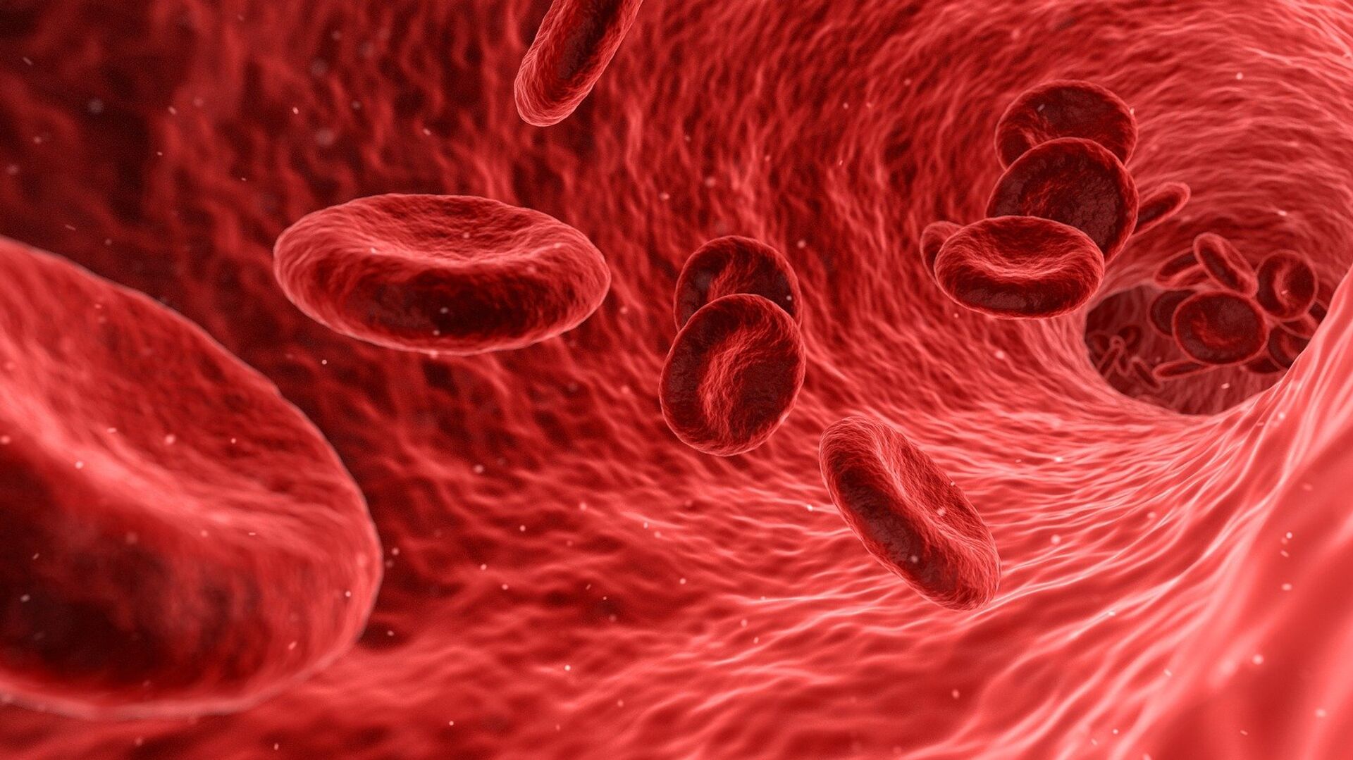 Red blood cells - Sputnik International, 1920, 14.07.2022