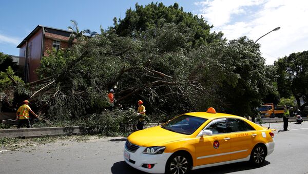 A taxi drives among trees uprooted by strong winds brought by Typhoon Nesat in Taipei, Taiwan July 30, 2017 - Sputnik International