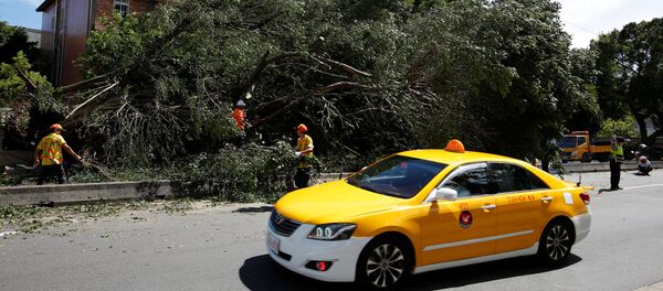 A taxi drives among trees uprooted by strong winds brought by Typhoon Nesat in Taipei, Taiwan July 30, 2017 - Sputnik International