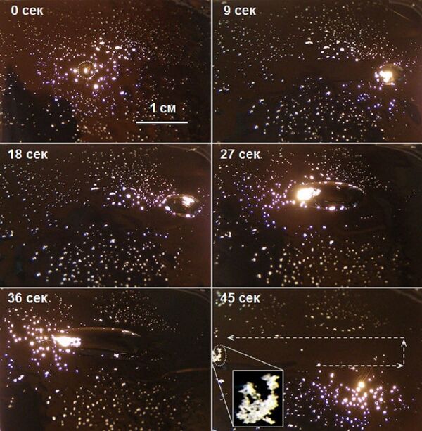 Photos demonstrating the process of trapping and moving several dozen polyethylene particles 150 μm along a glass surface. The starting and final positions of the light beam are indicated by the dotted circle and the ellipse (together with the collected particles). Arrows indicate the trajectory of the droplet's movement. Time indications are 0, 9, 18, 27, 36 adn 45 seconds, respectively. Photos demonstrating the process of trapping and moving several dozen polyethylene particles 150 μm along a glass surface. The starting and final positions of the light beam are indicated by the dotted circle and the ellipse (together with the collected particles). Arrows indicate the trajectory of the droplet's movement. Time indications are 0, 9, 18, 27, 36 adn 45 seconds, respectively. - Sputnik International