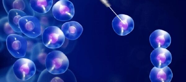 Optical tweezers being used to manipulate micro particles Optical tweezers being used to manipulate micro particles - Sputnik International