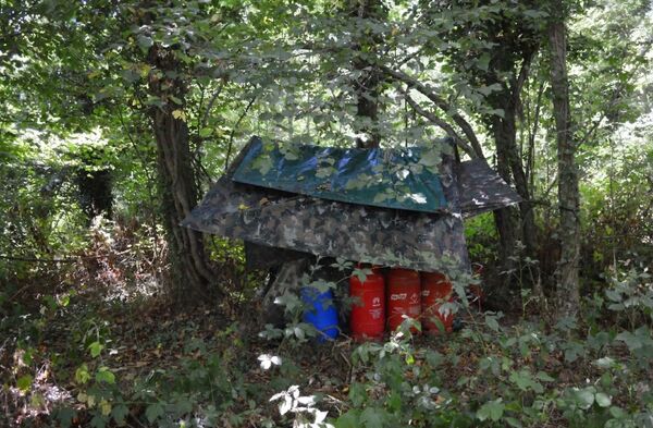 One of Ciaran Maxwell's hides in a forest in Northern Ireland One of Ciaran Maxwell's hides in a forest in Northern Ireland - Sputnik International