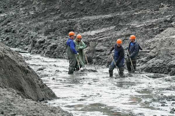Amber extraction in an Amber Plant pit. Kaliningrad Amber extraction in an Amber Plant pit. Kaliningrad - Sputnik International
