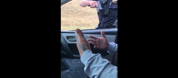 California Cop Draws Gun During Traffic Stop California Cop Draws Gun During Traffic Stop - Sputnik International