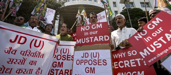 Supporters of Janata Dal (United) or JD(U), protest against genetically modified mustard outside the Ministry of Environment, Forest and Climate Change, in New Delhi, India, Wednesday, Sept. 7, 2016 - Sputnik International