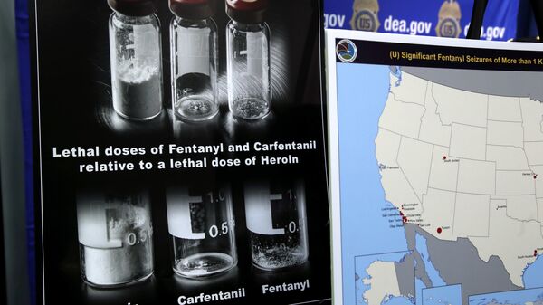 Posters comparing lethal amounts of heroin, fentanyl, and carfentanil, are on display during a news conference about the dangers of fentanyl, at DEA Headquarters in Arlington, Tuesday, June 6, 2017. - Sputnik International