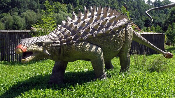 Ankylosaurus, a genus of a heavily armored dinosaur with a large club-like protrusion at the end of its tail. The nodosaur is an ancient cousin of the better-known ankylosaurus - Sputnik International