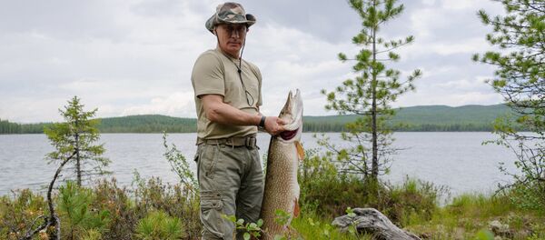 Russian President Vladimir Putin on a fishing trip. (File) - Sputnik International