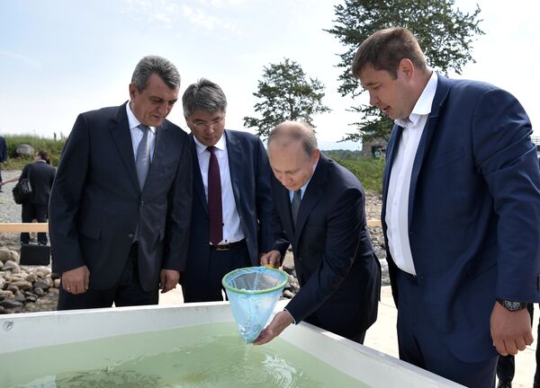 Russian President Vladimir Putin takes part in a ceremony to release juvenile omul into Lake Baikal at the Baikal State Nature Biosphere Reserve Russian President Vladimir Putin takes part in a ceremony to release juvenile omul into Lake Baikal at the Baikal State Nature Biosphere Reserve - Sputnik International