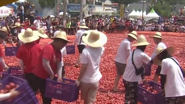 Tomato Festival Kicks Off In South Korea - Sputnik International