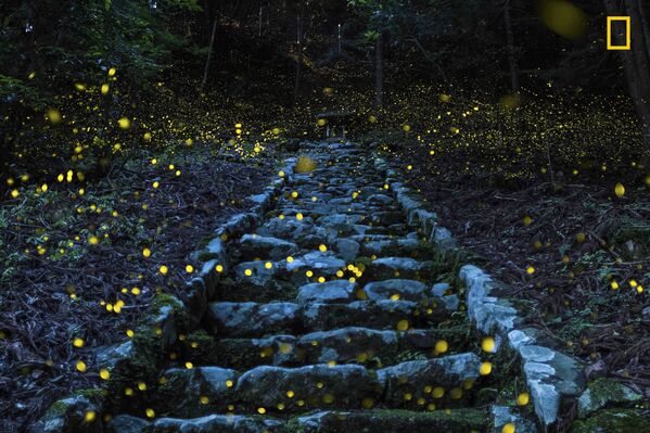 Be Inspired by Amazing 2017 Nat Geo's Travel Photographer of the Year Contest - Sputnik International