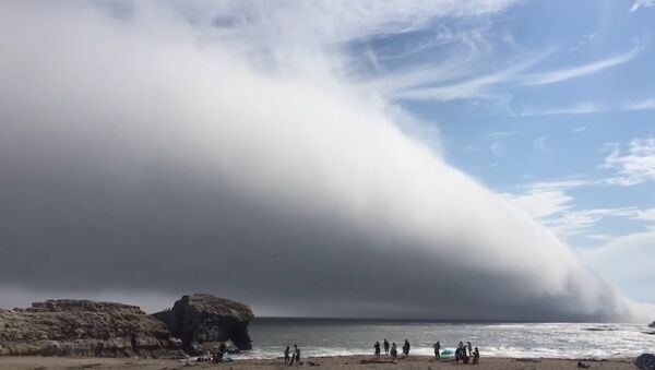 Huge Fog Cloud over Beach - Sputnik International