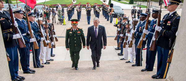 Mattis Pentagon Ngo - Sputnik International