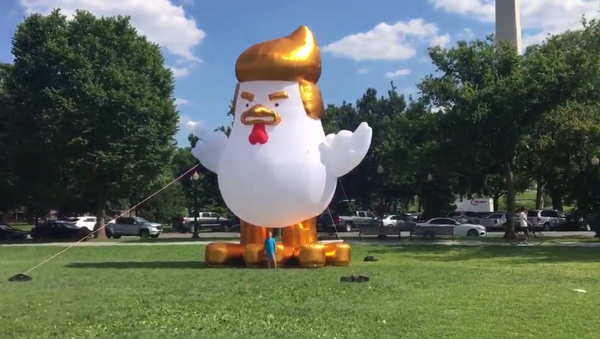 Anti-Trumpers Inflate Giant Chicken at White House - Sputnik International