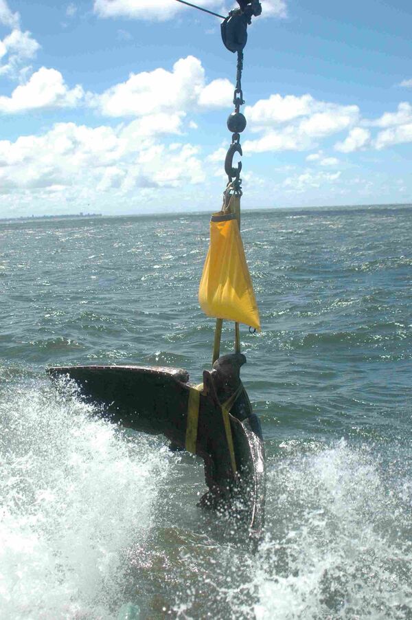 The recovery of a bronze eagle figurehead previously mounted on Graf Spee warship The recovery of a bronze eagle figurehead previously mounted on Graf Spee warship - Sputnik International