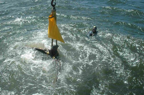 The recovery of a bronze eagle figurehead previously mounted on Graf Spee warship The recovery of a bronze eagle figurehead previously mounted on Graf Spee warship - Sputnik International