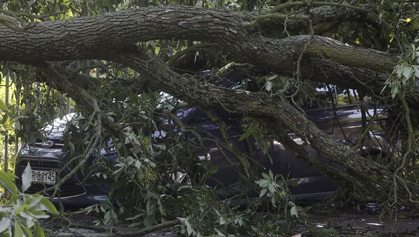 Broken trees lay on car on a street in Warsaw, Poland after a heavy storm - Sputnik International