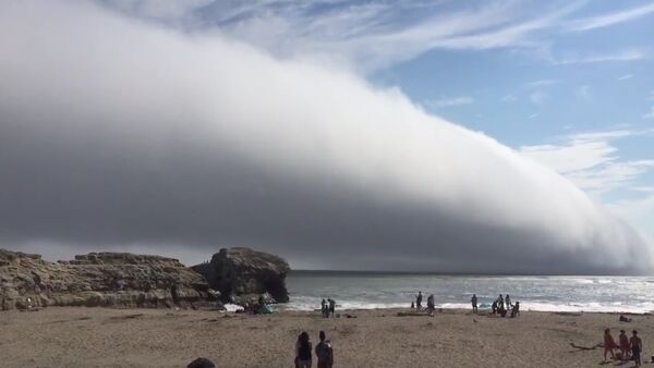 Huge Fog Cloud over Beach - Sputnik International
