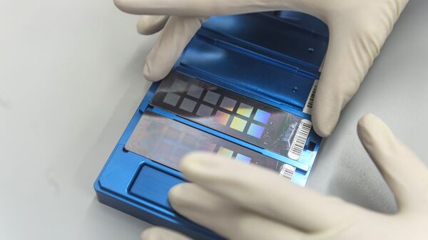 An employee preparing chips. (File) - Sputnik International