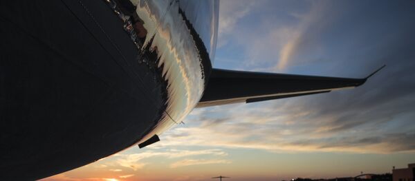 The tail of Air Force One is seen on the tarmac as the sun sets The tail of Air Force One is seen on the tarmac as the sun sets - Sputnik International