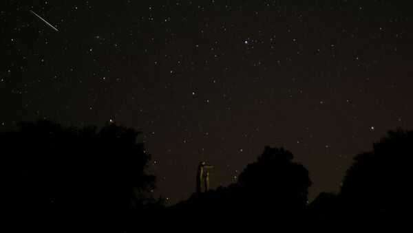Звездное небо, наблюдаемое во время метеорного потока Персеиды близ Малаги, Испания - Sputnik International