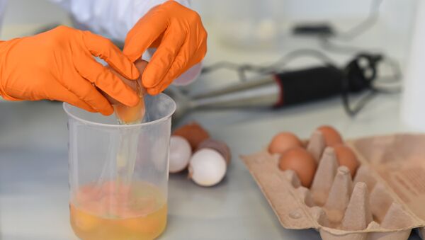 A laboratory technician checks eggs in a laboratory - Sputnik International