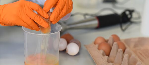 A laboratory technician checks eggs in a laboratory A laboratory technician checks eggs in a laboratory - Sputnik International