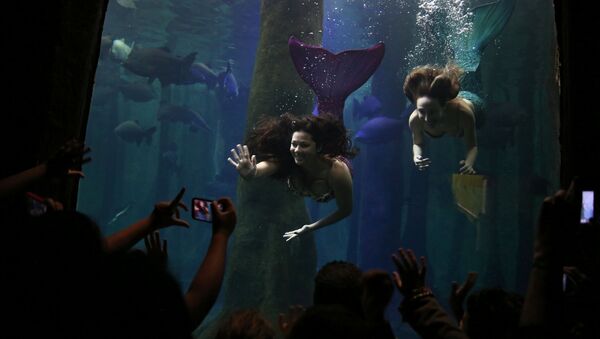 Half Fish, All Woman: Charming Mermaids Take to Life in Brazil - Sputnik International