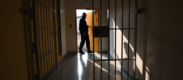 A prison guard open a door during a press visit on October 14, 2015 in the new prison in Valence, southeastern France - Sputnik International