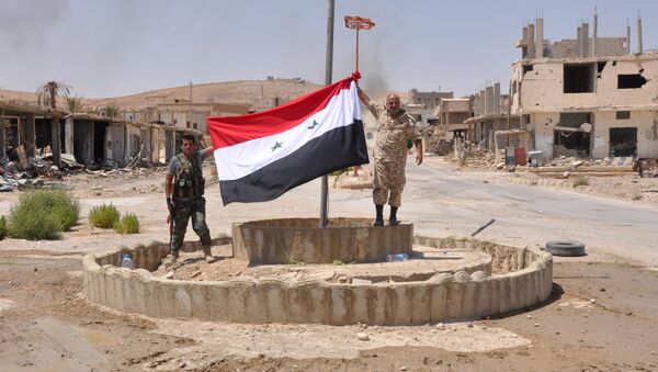 Pro-government fighters hold up a Syrian flag in the central Syrian town of Al-Sukhnah - Sputnik International