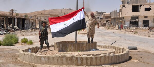 Pro-government fighters hold up a Syrian flag in the central Syrian town of Al-Sukhnah - Sputnik International