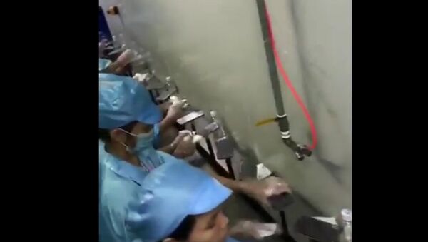 Foxconn plant video shows alleged iPhone 8 rear shell - Sputnik International