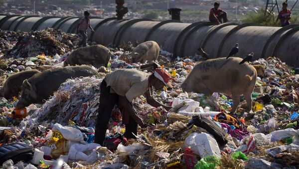A man scavenges for reusable material in an open garbage in New Delhi, India - Sputnik International