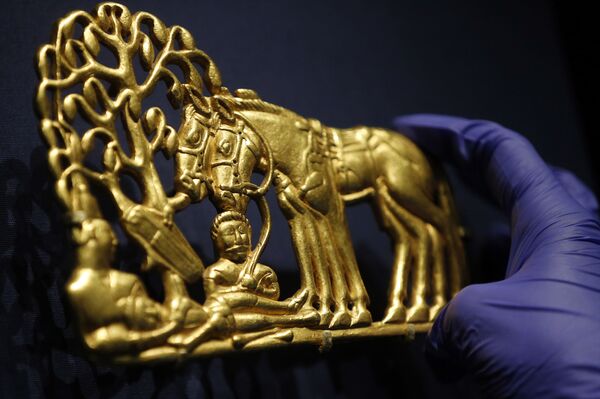 Skeleton That Tells a Story: Scythian Amazon Found in Remarkable Discovery by Russian Archaeologists Skeleton That Tells a Story: Scythian Amazon Found in Remarkable Discovery by Russian Archaeologists - Sputnik International