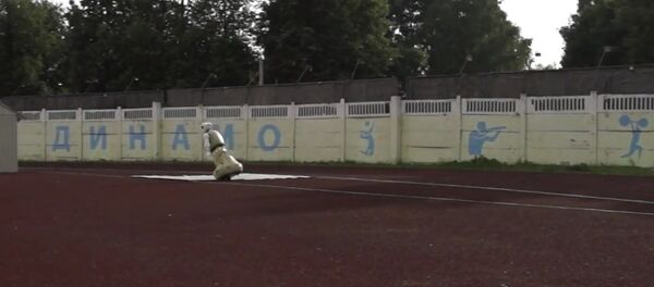 Robot - Sputnik International