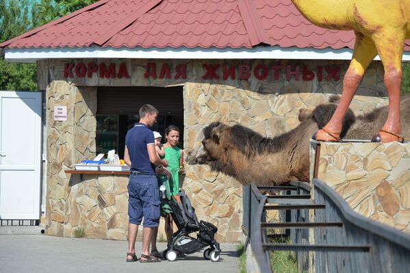 Delight for the Eye: Crimea's Incredible Animal Paradise - Sputnik International