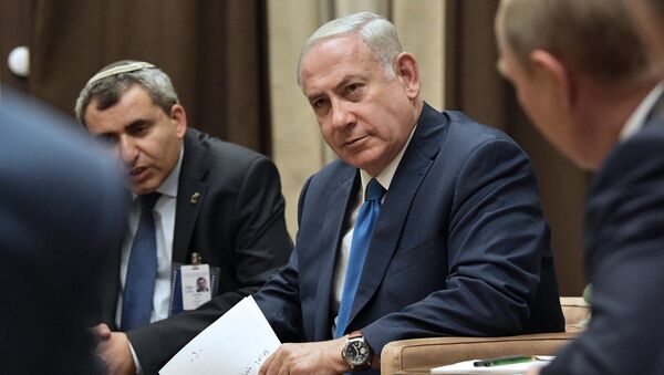 President Vladimir Putin meets with Prime Minister of Israel Benjamin Netanyahu - Sputnik International