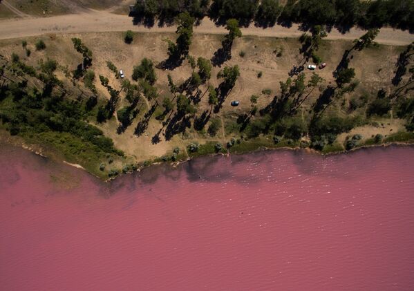Pink and Salty: Incredible Lakes of Russia's Altai Region - Sputnik International